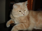 DSC00175