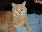 DSC00208