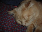 DSC00220