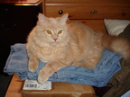 DSC00270