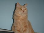 DSC00290