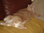 DSC00199