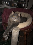 IMG 1055